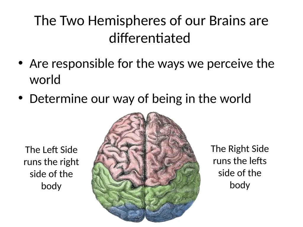 Neuro-Exploration: Why MI works in resolving - slide 13 of 47