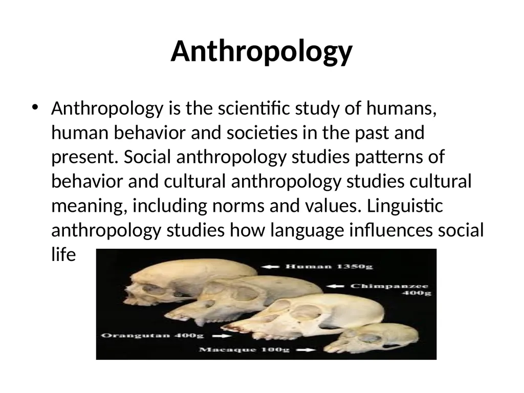 INTRODUCTION TO ORGANIZATIONS BEHAVIOR UNIT-1 - slide 24 of 43