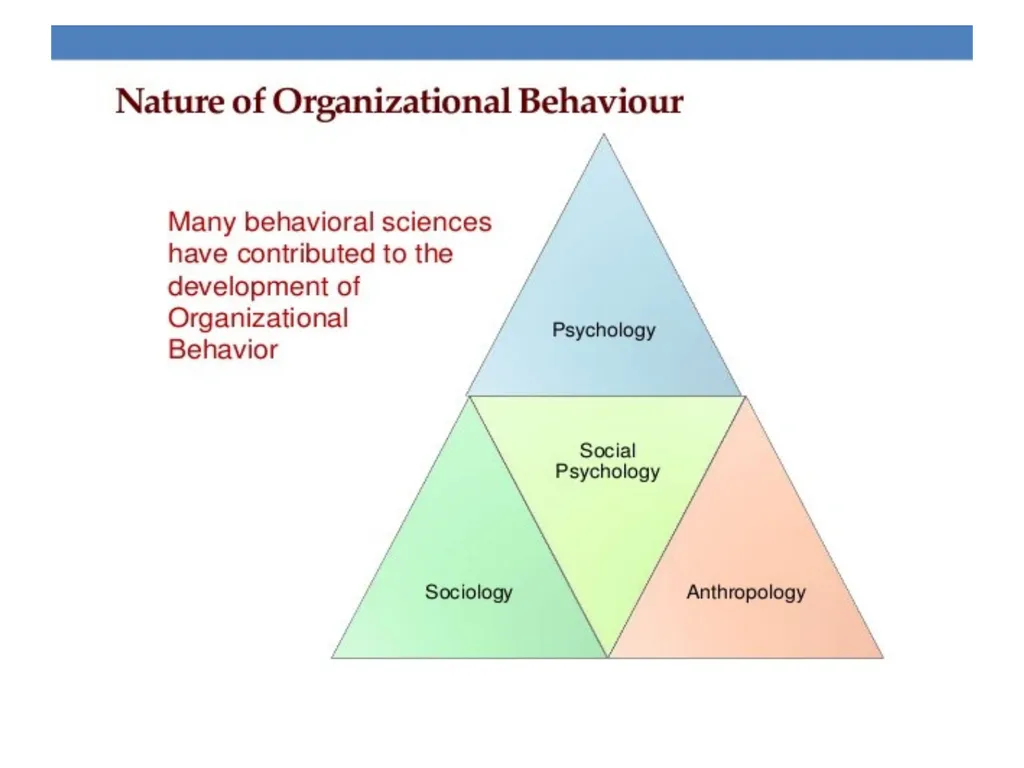 INTRODUCTION TO ORGANIZATIONS BEHAVIOR UNIT-1 - slide 17 of 43