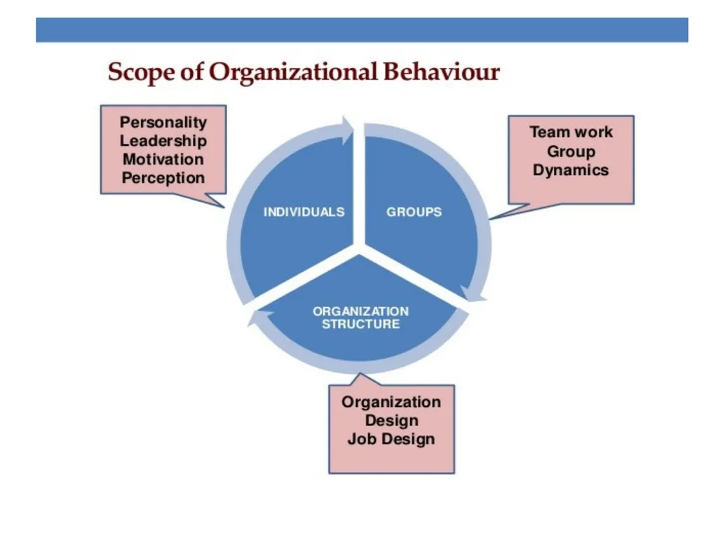 INTRODUCTION TO ORGANIZATIONS BEHAVIOR UNIT-1 - slide 28 of 43