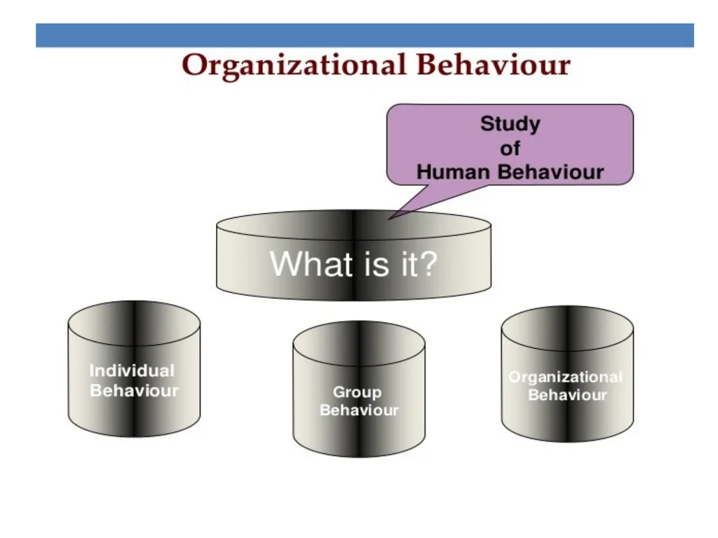 INTRODUCTION TO ORGANIZATIONS BEHAVIOR UNIT-1 - slide 9 of 43