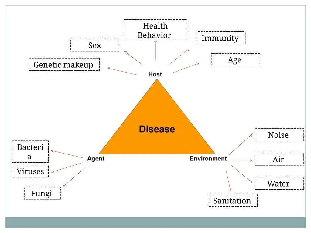 Theories of disease causation Ms. Samah alageel - slide 15 of 30