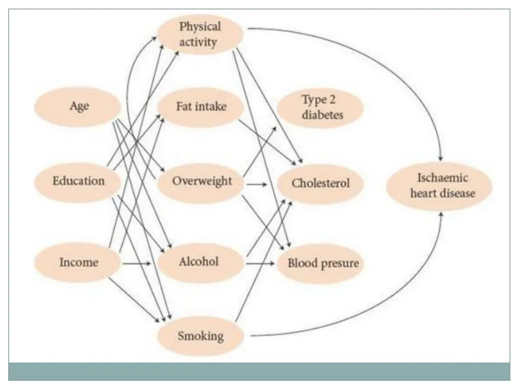 Theories of disease causation Ms. Samah alageel - slide 19 of 30
