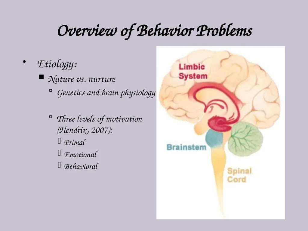 Resolving Difficult Behavior in Children and - slide 4 of 29