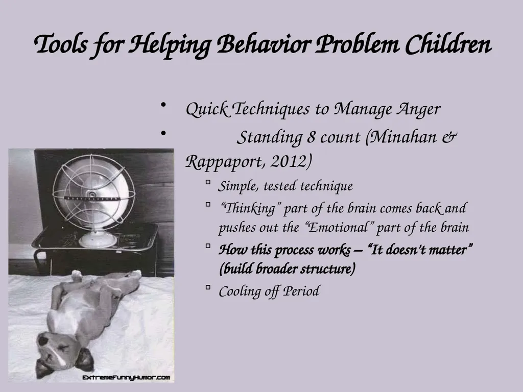 Resolving Difficult Behavior in Children and - slide 10 of 29