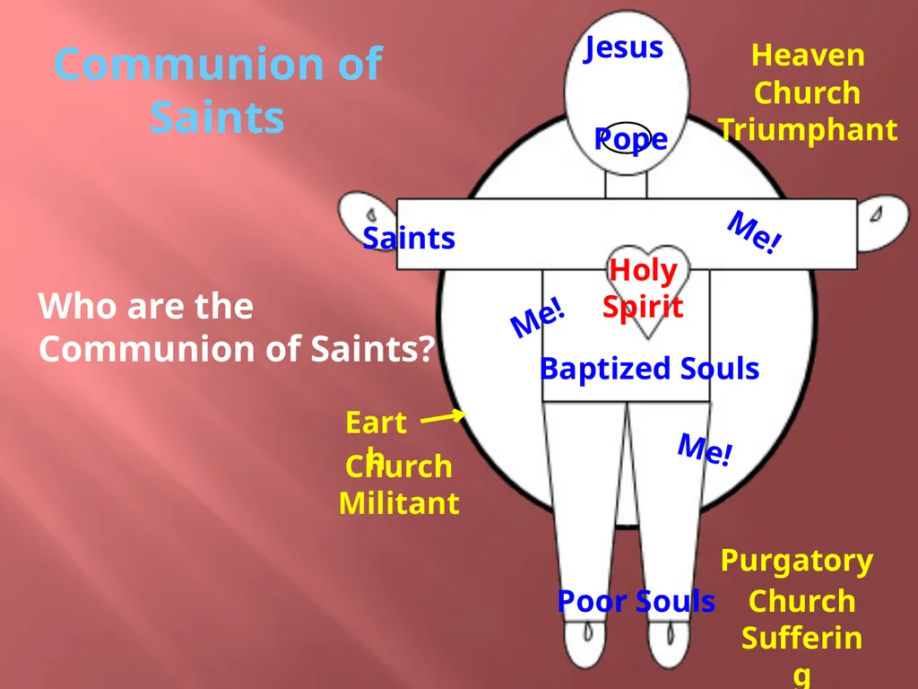 The mystical body Chp. 24 What is a body? What - slide 6 of 11