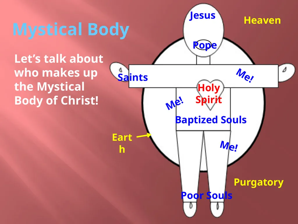 The mystical body Chp. 24 What is a body? What - slide 4 of 11