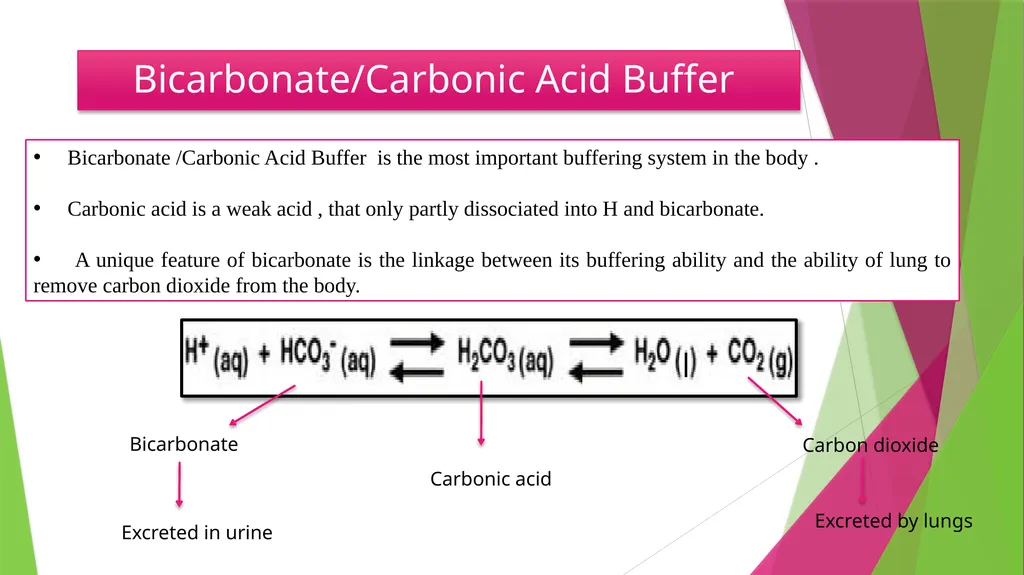 Physiology The Body as an Organized "Solution” - slide 34 of 45