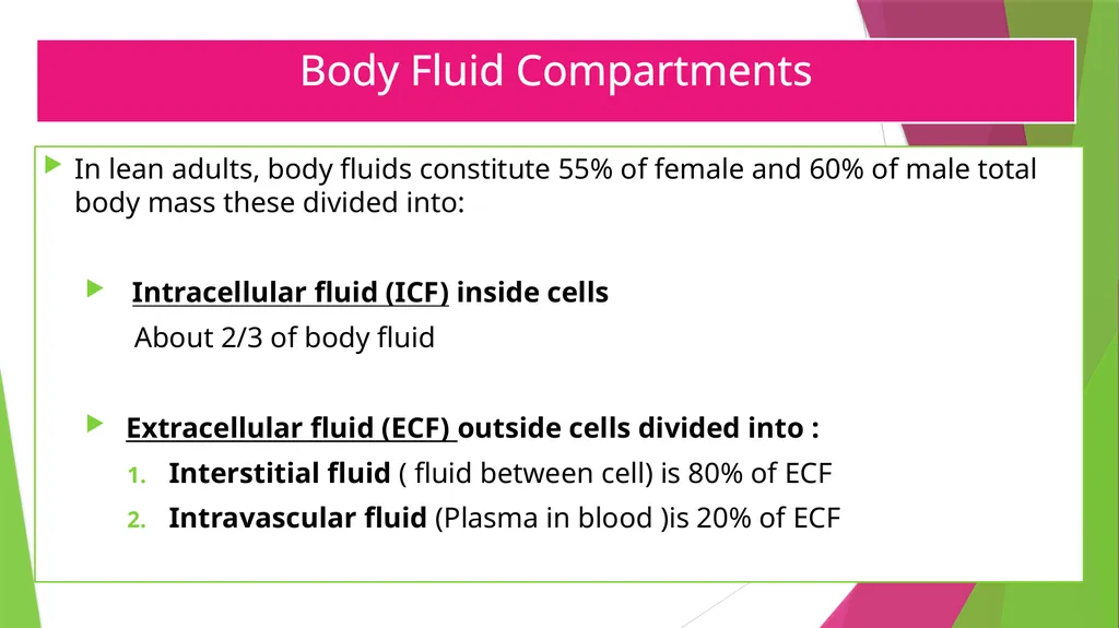 Physiology The Body as an Organized "Solution” - slide 6 of 45