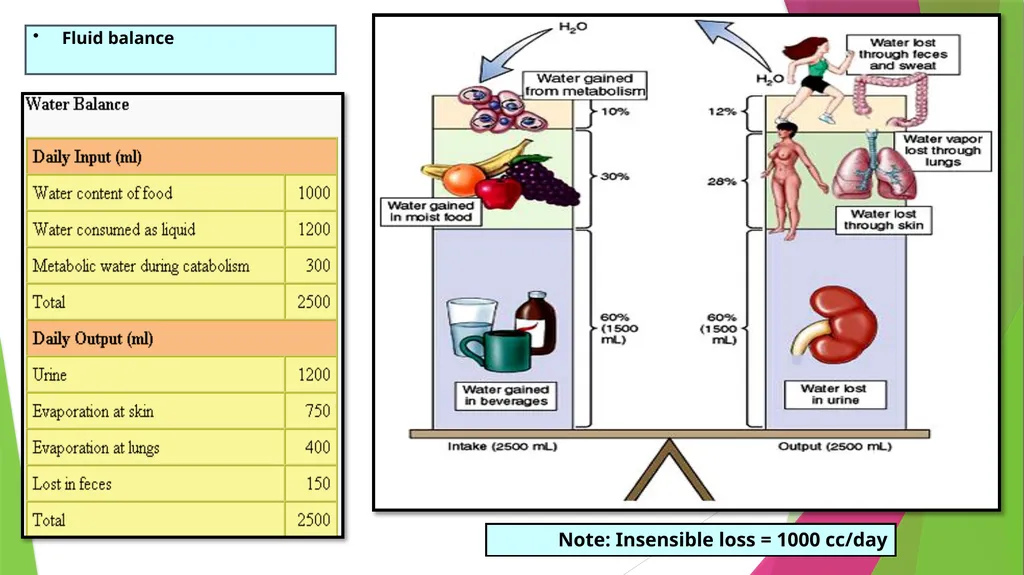 Physiology The Body as an Organized "Solution” - slide 9 of 45