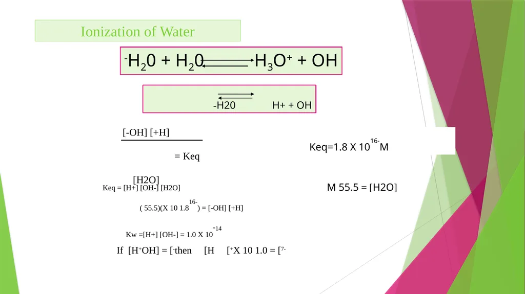 Physiology The Body as an Organized "Solution” - slide 19 of 45