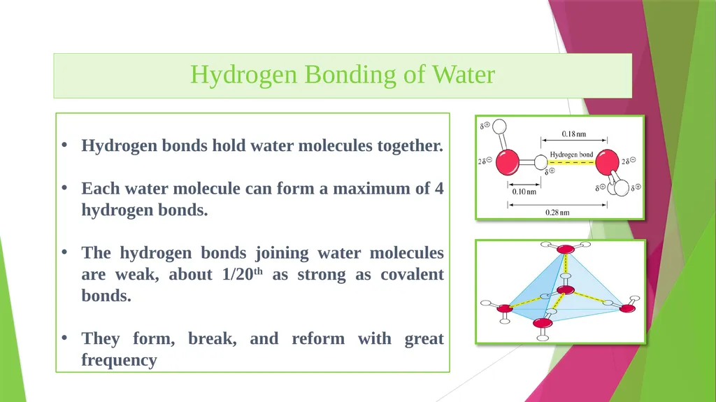 Physiology The Body as an Organized "Solution” - slide 17 of 45