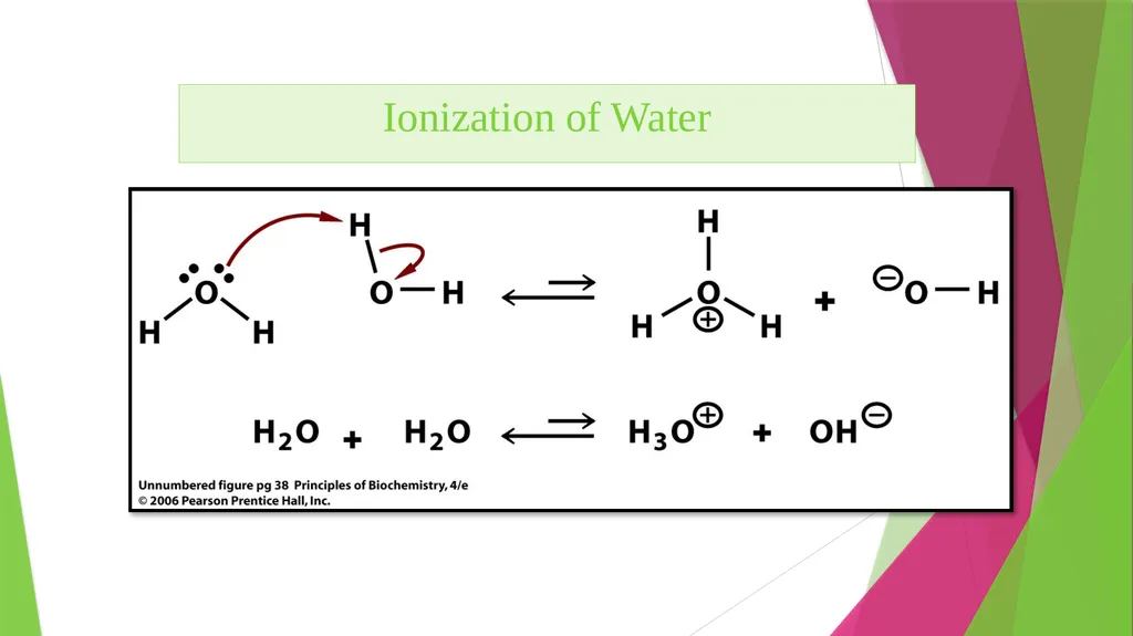 Physiology The Body as an Organized "Solution” - slide 18 of 45
