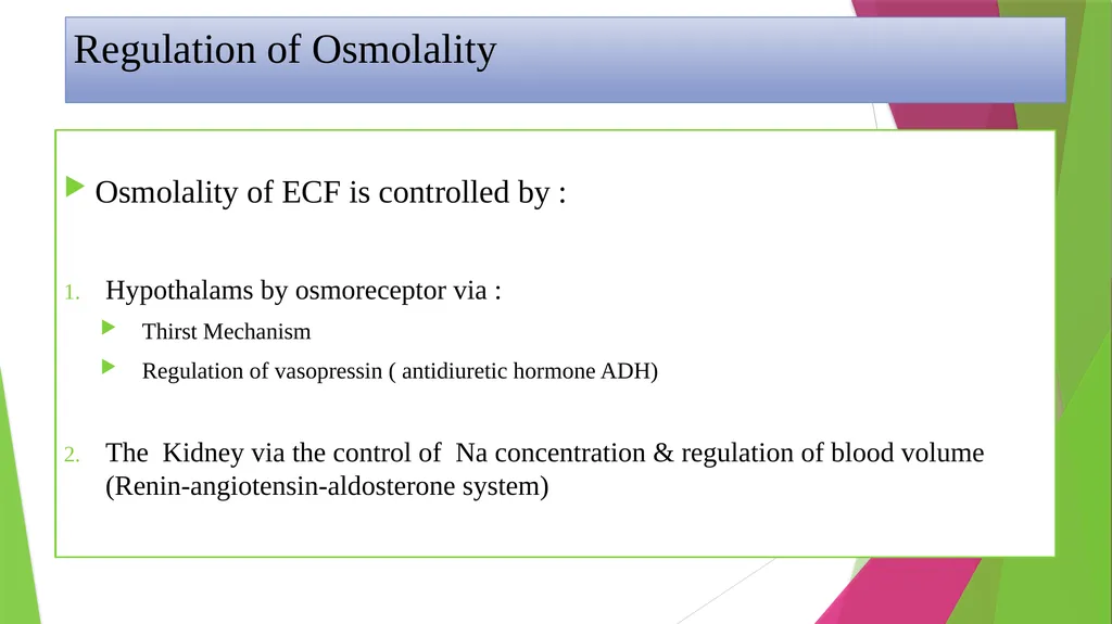 Physiology The Body as an Organized "Solution” - slide 41 of 45