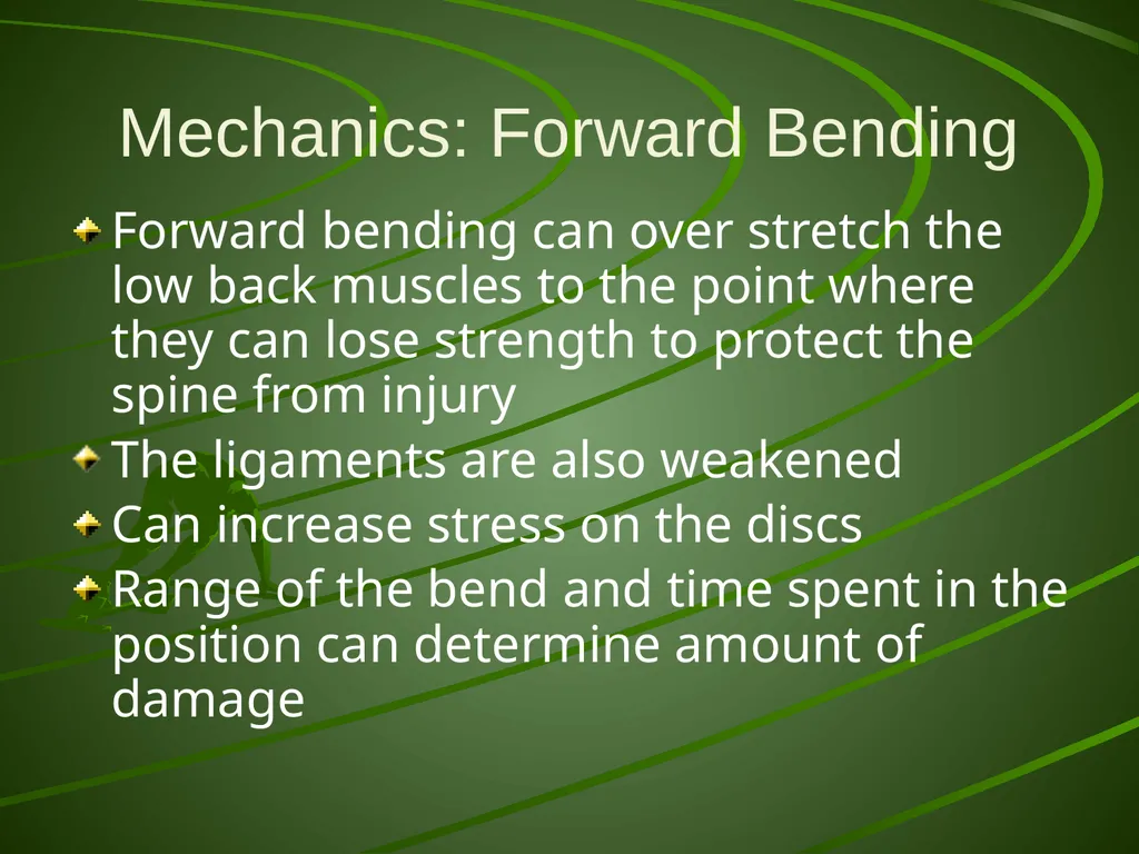 Proper Body Mechanics Body Mechanics The use of - slide 7 of 20