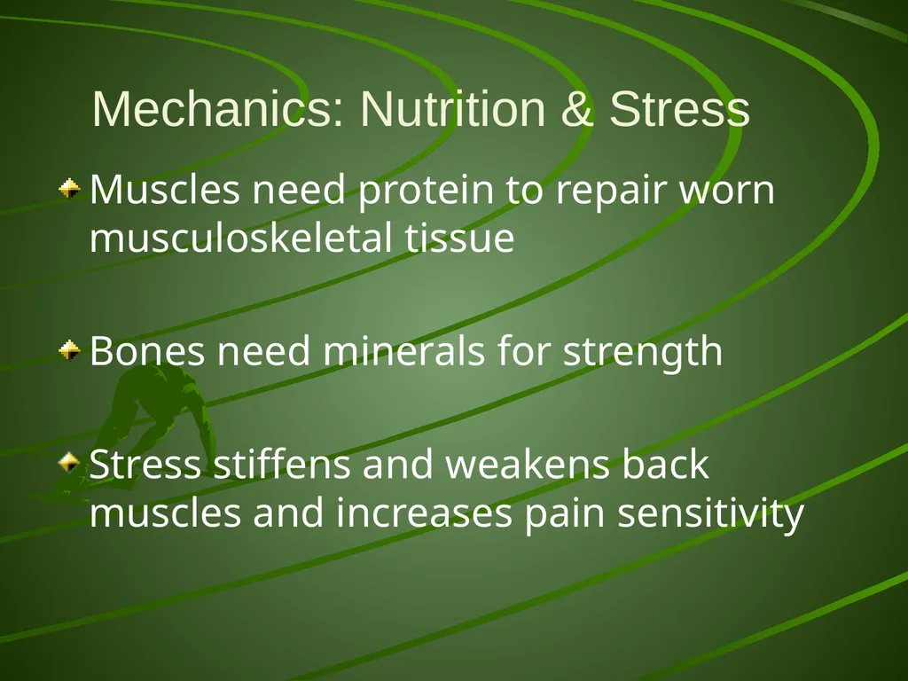 Proper Body Mechanics Body Mechanics The use of - slide 13 of 20