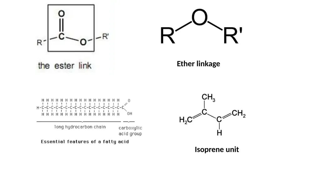 Archeal cell membrane Characteristics Chirality of - slide 3 of 6