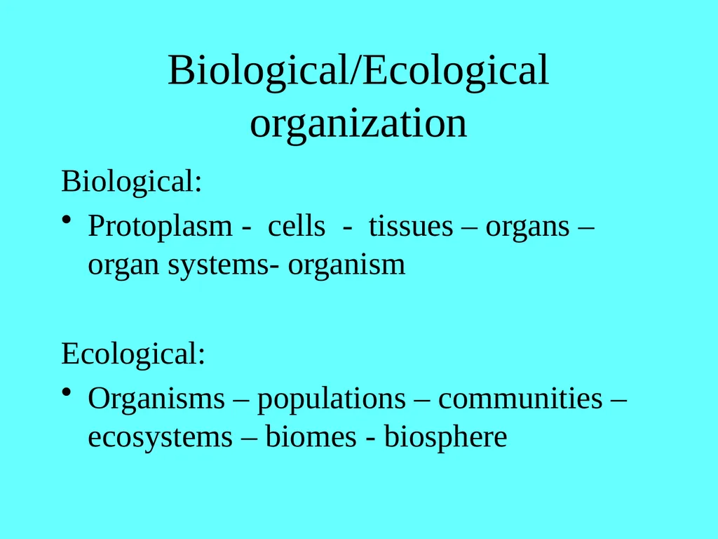 Chapter 13 Abruscato & DeRosa Biology Content - slide 4 of 22