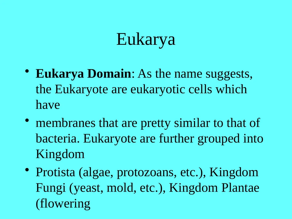 Chapter 13 Abruscato & DeRosa Biology Content - slide 16 of 22