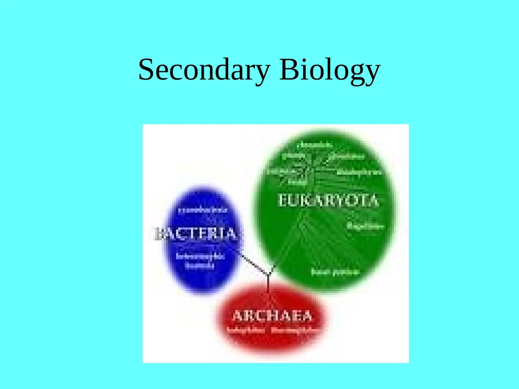 Chapter 13 Abruscato & DeRosa Biology Content - slide 11 of 22