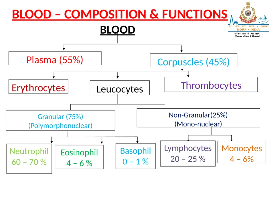 CIRCULATORY SYSTEM LESSON -4A BY OMKAR YADAV - slide 4 of 70