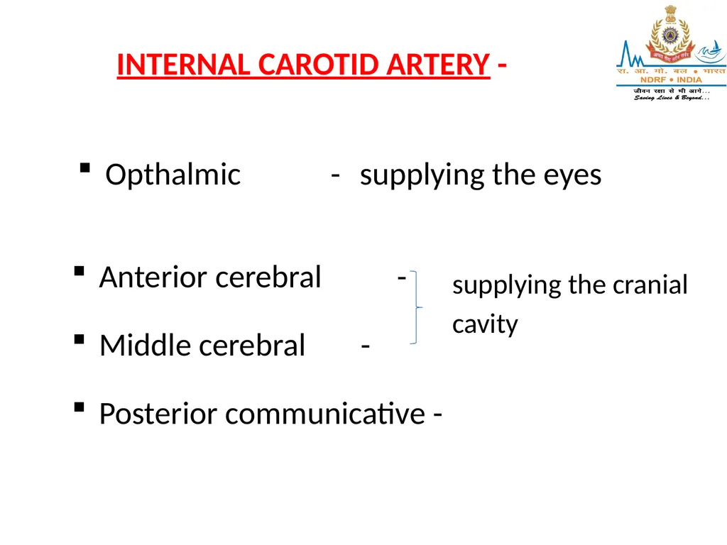 CIRCULATORY SYSTEM LESSON -4A BY OMKAR YADAV - slide 66 of 70