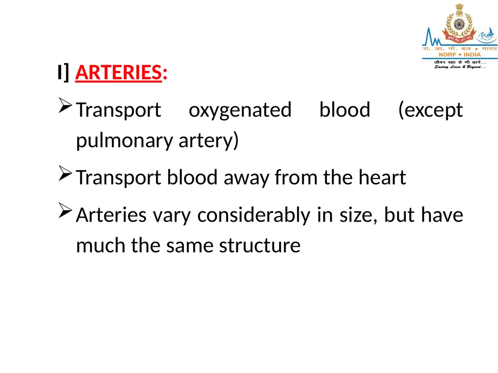 CIRCULATORY SYSTEM LESSON -4A BY OMKAR YADAV - slide 29 of 70