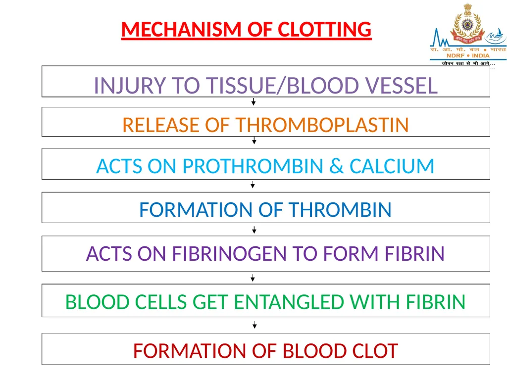 CIRCULATORY SYSTEM LESSON -4A BY OMKAR YADAV - slide 21 of 70