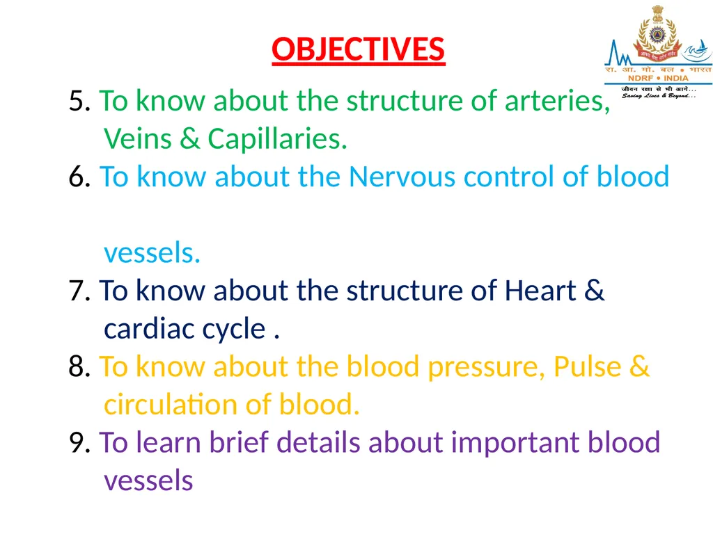 CIRCULATORY SYSTEM LESSON -4A BY OMKAR YADAV - slide 3 of 70