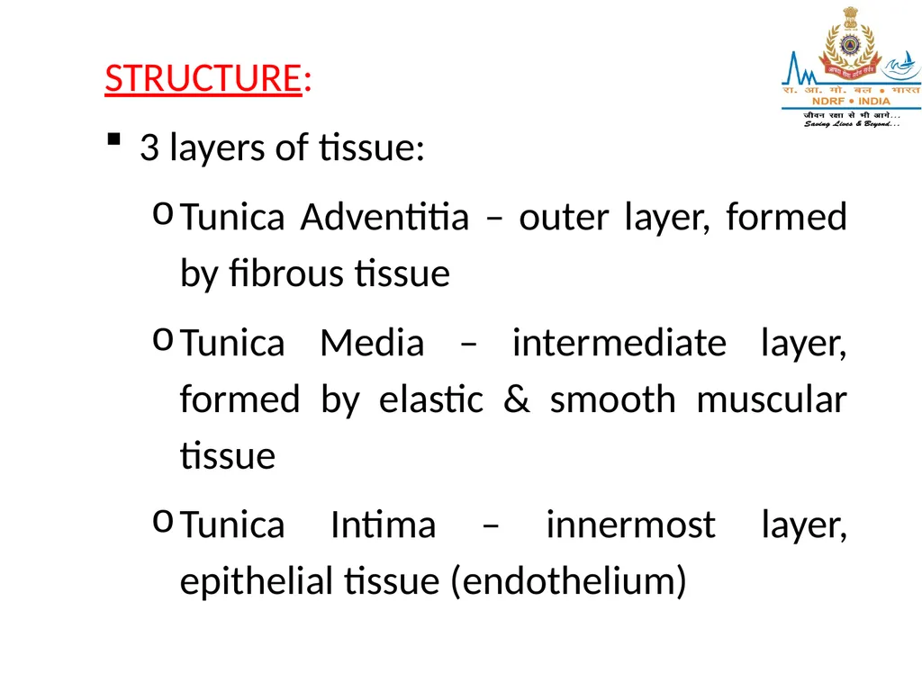 CIRCULATORY SYSTEM LESSON -4A BY OMKAR YADAV - slide 30 of 70