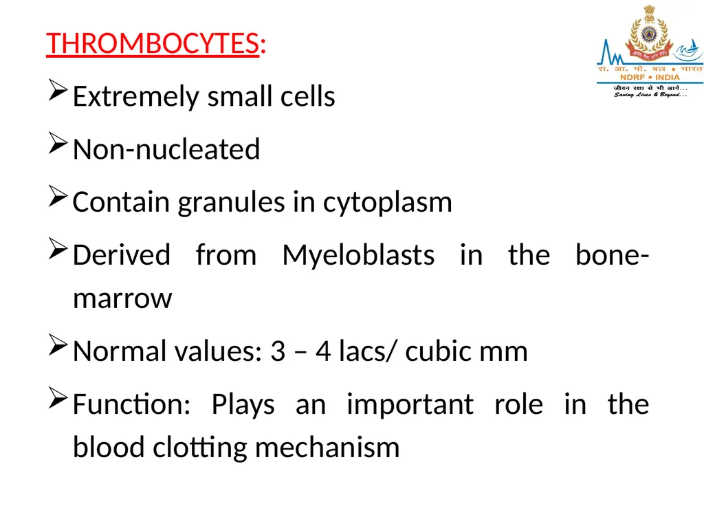 CIRCULATORY SYSTEM LESSON -4A BY OMKAR YADAV - slide 17 of 70