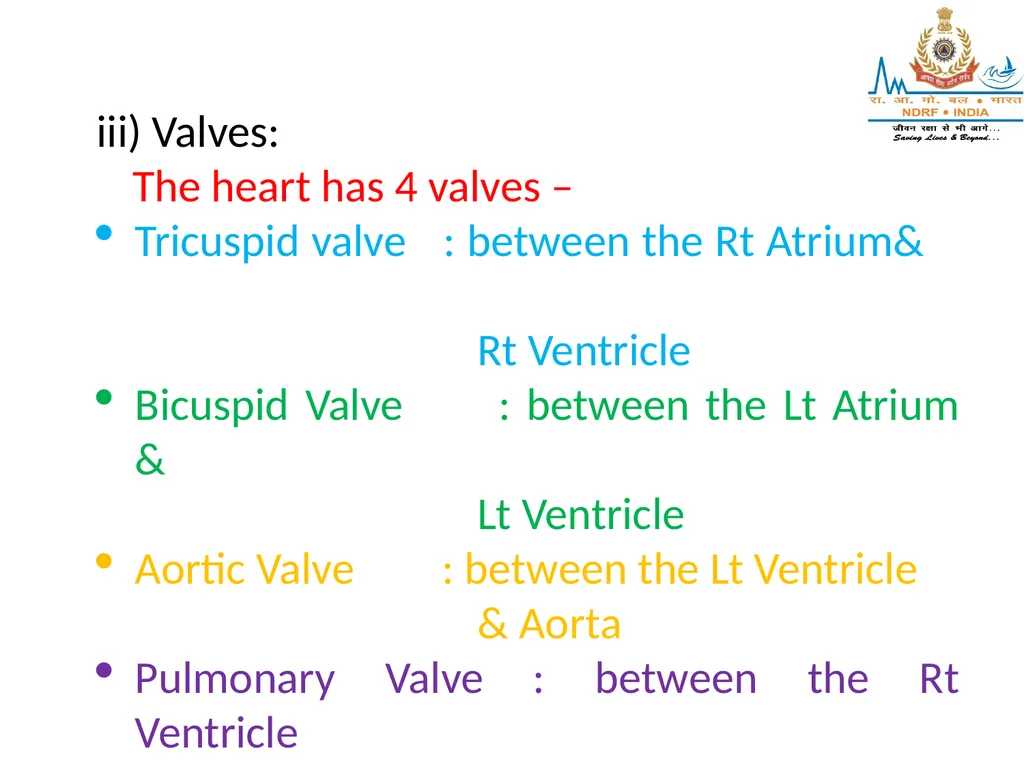 CIRCULATORY SYSTEM LESSON -4A BY OMKAR YADAV - slide 43 of 70