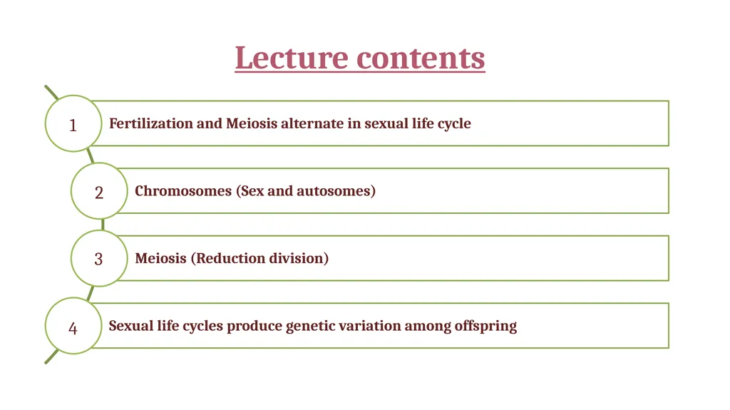 LECTURE (3) Fertilization and Meiosis Lecture - slide 2 of 17
