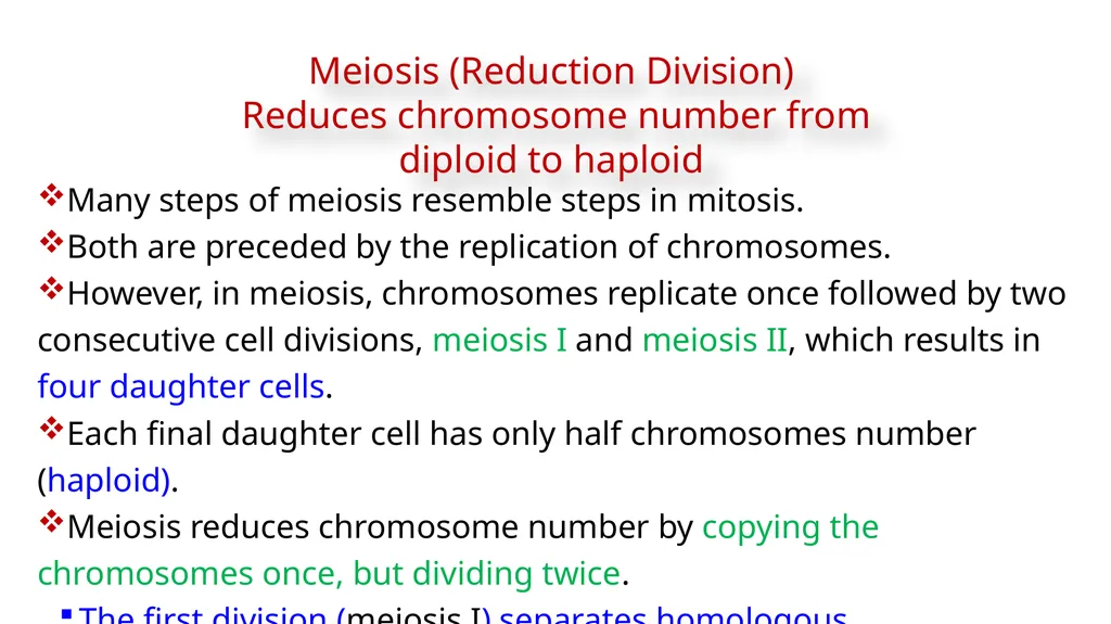 LECTURE (3) Fertilization and Meiosis Lecture - slide 9 of 17