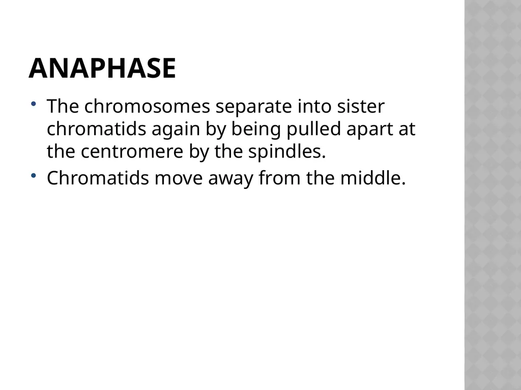 Biology Chapter 7 Cellular Reproduction 7.1 - slide 15 of 34