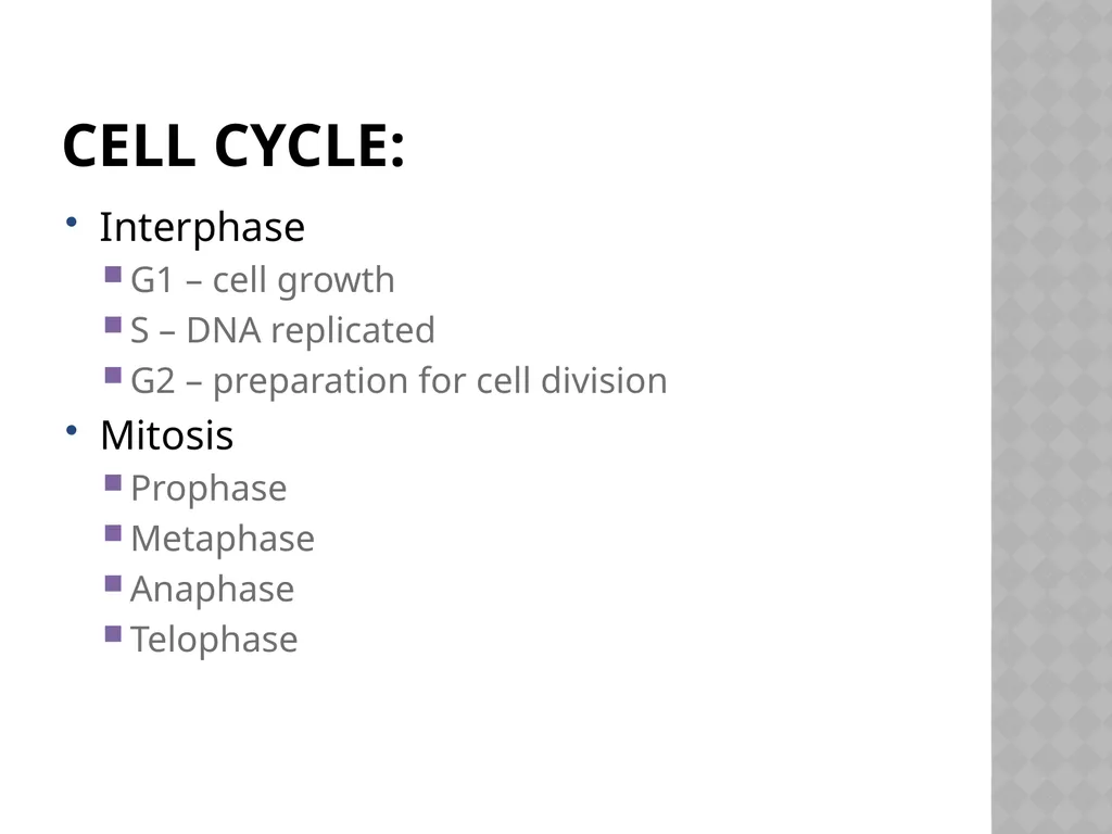 Biology Chapter 7 Cellular Reproduction 7.1 - slide 11 of 34
