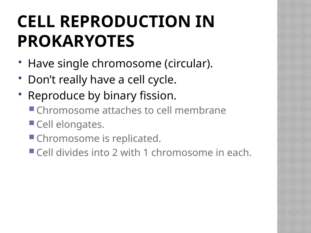 Biology Chapter 7 Cellular Reproduction 7.1 - slide 21 of 34