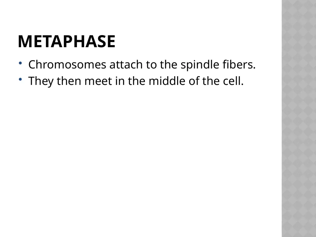 Biology Chapter 7 Cellular Reproduction 7.1 - slide 14 of 34
