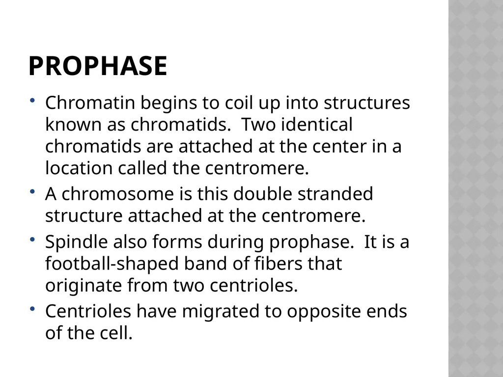 Biology Chapter 7 Cellular Reproduction 7.1 - slide 12 of 34