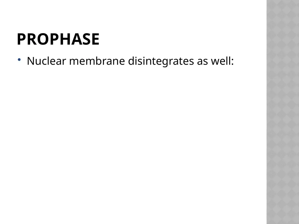 Biology Chapter 7 Cellular Reproduction 7.1 - slide 13 of 34