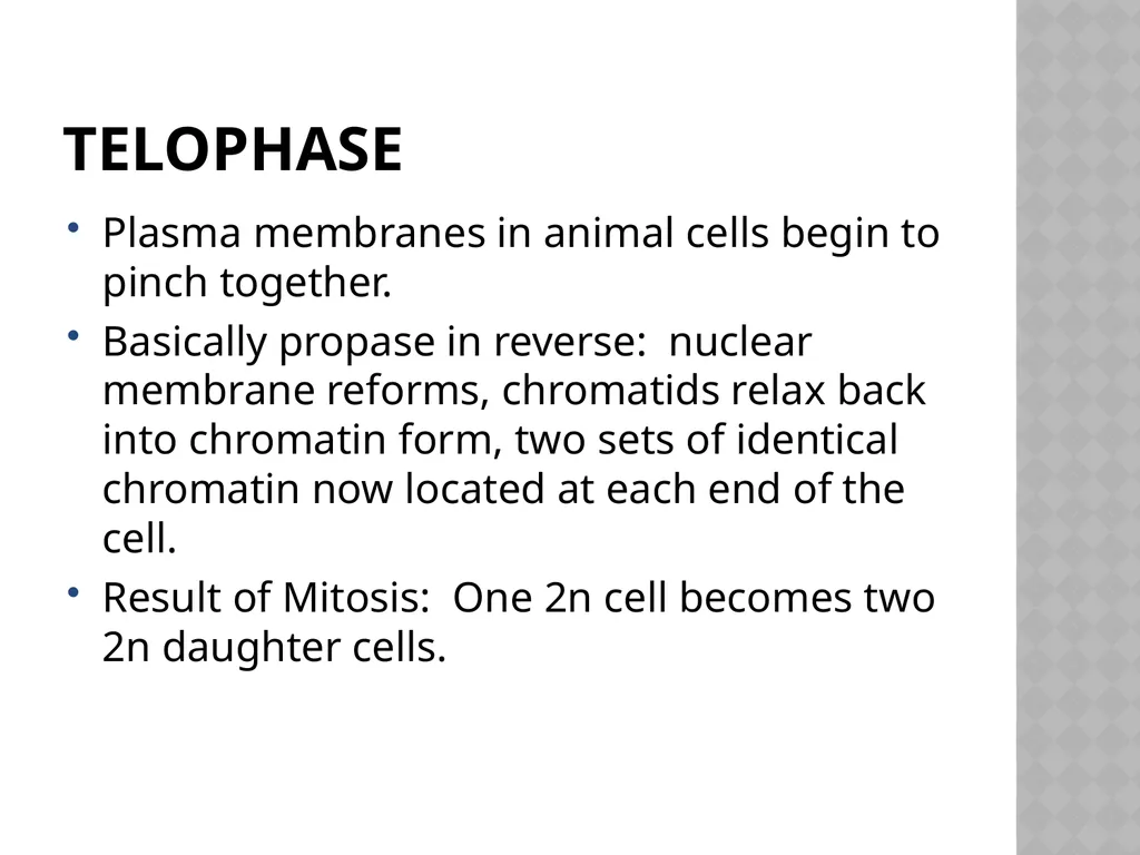 Biology Chapter 7 Cellular Reproduction 7.1 - slide 16 of 34
