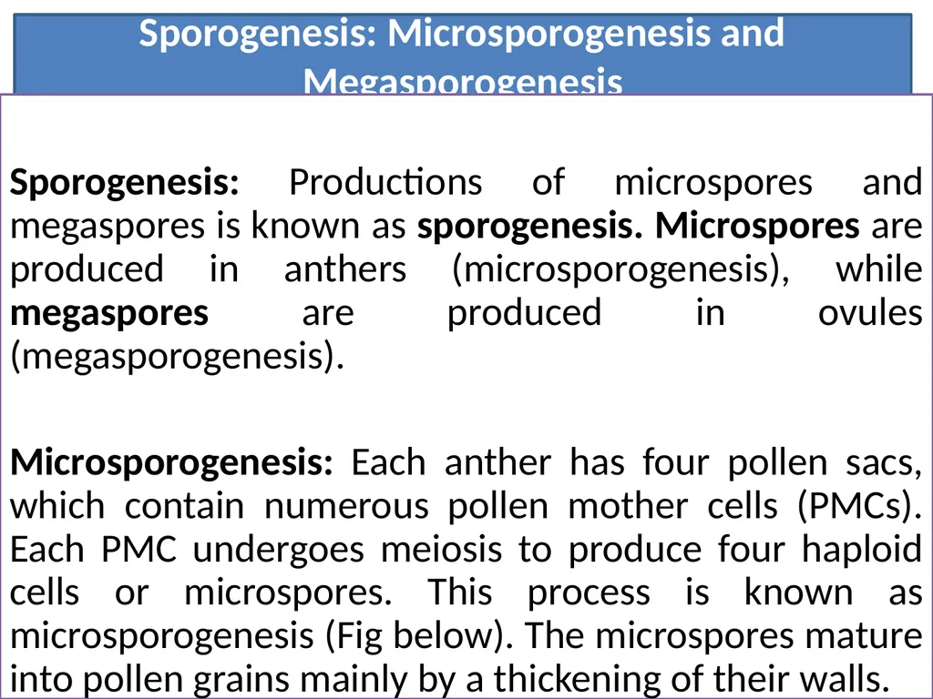 Sporogenesis: Microsporogenesis and - slide 1 of 10
