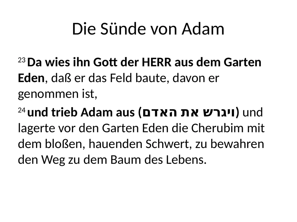 Einführung in die jüdische Literatur und Kultur - slide 17 of 23