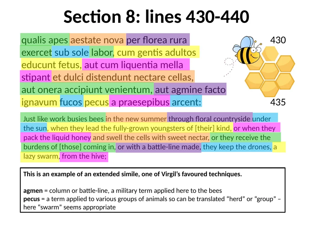 Virgil, Aeneid I GCSE Latin Verse Set text 2017 - slide 28 of 38