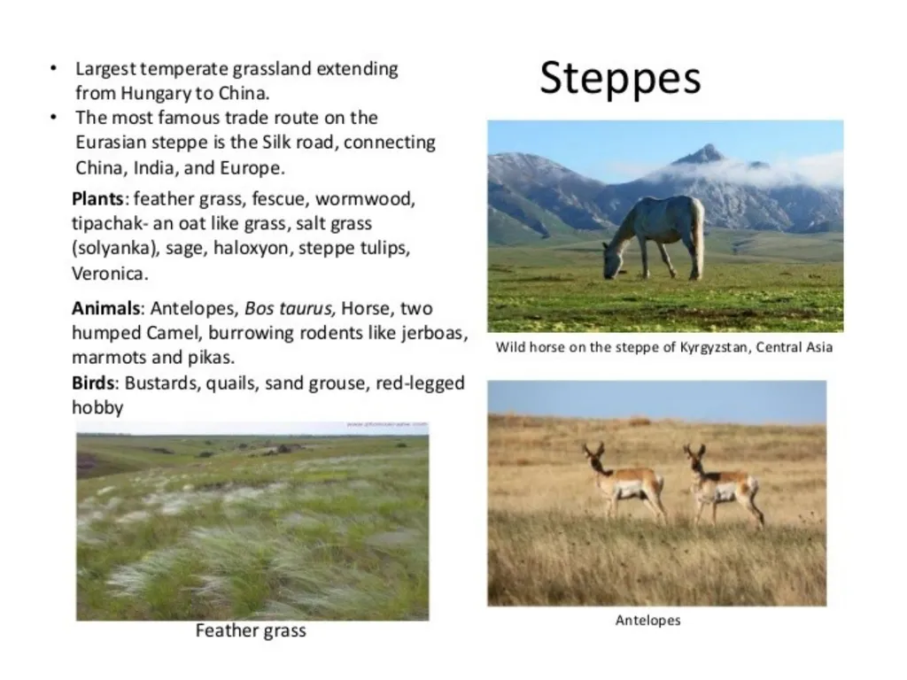 Ppt for Geography Hons,part - slide 3 of 11