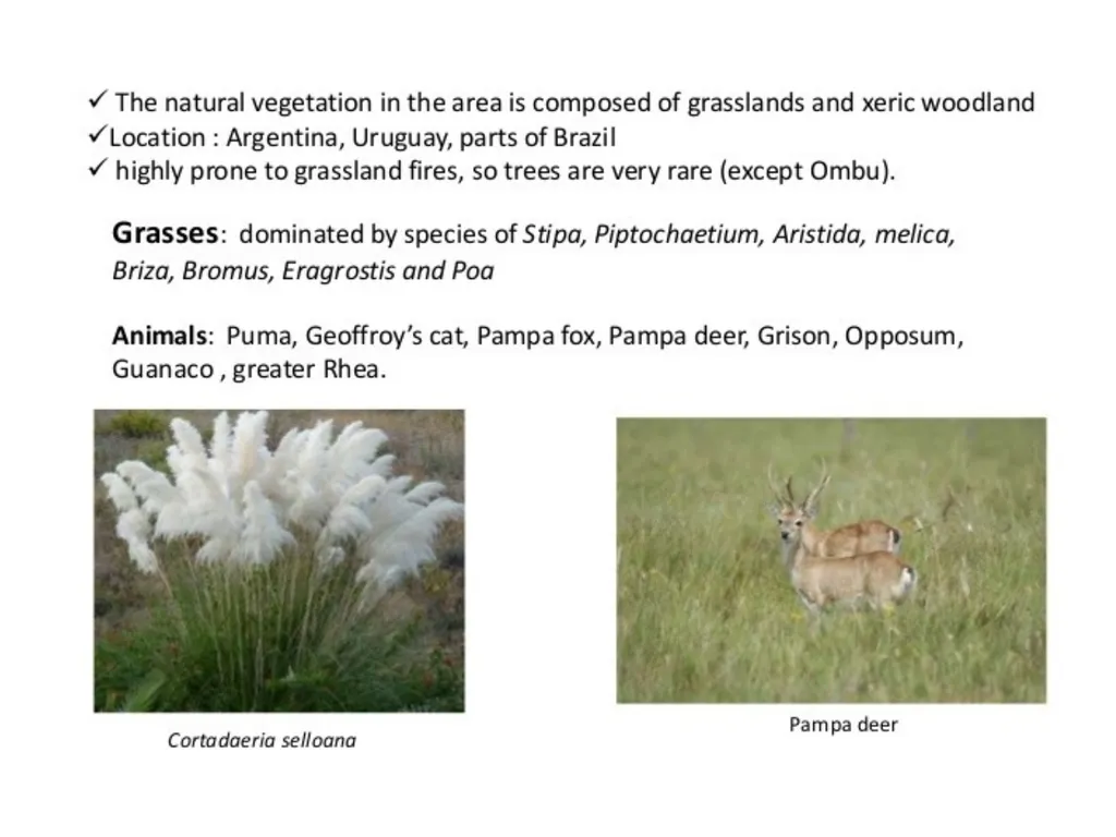 Ppt for Geography Hons,part - slide 4 of 11