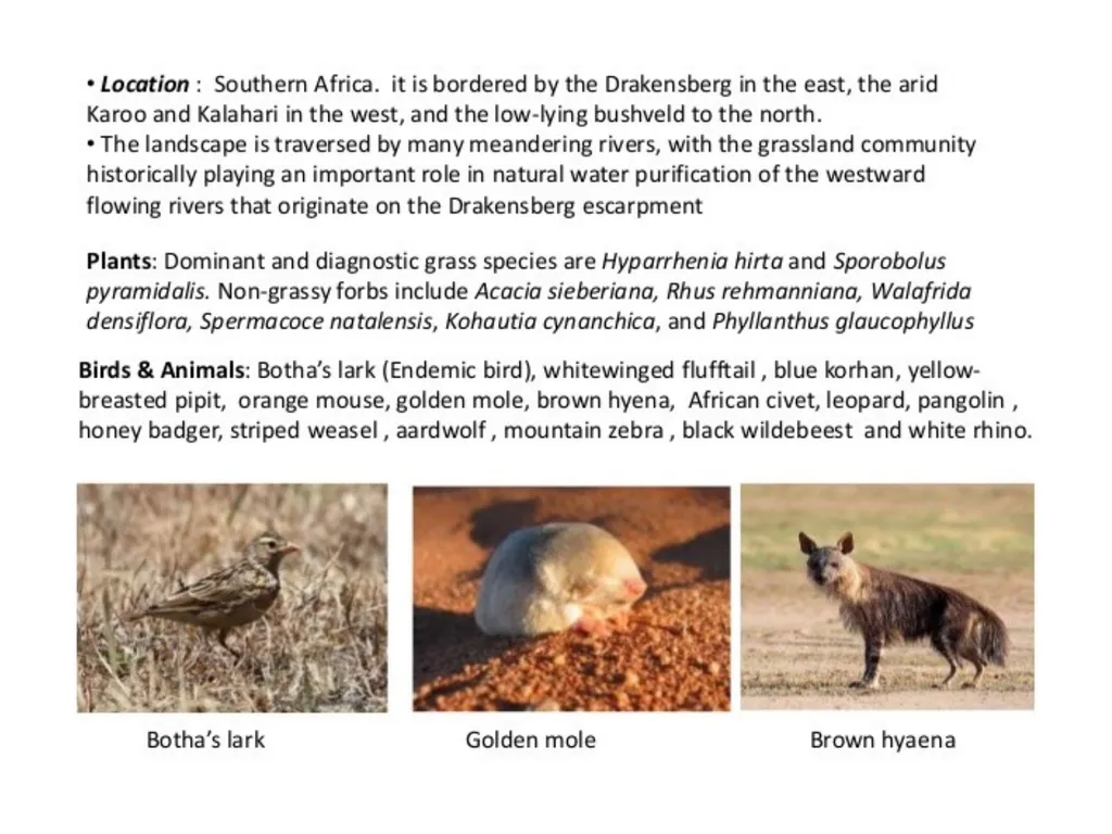 Ppt for Geography Hons,part - slide 7 of 11