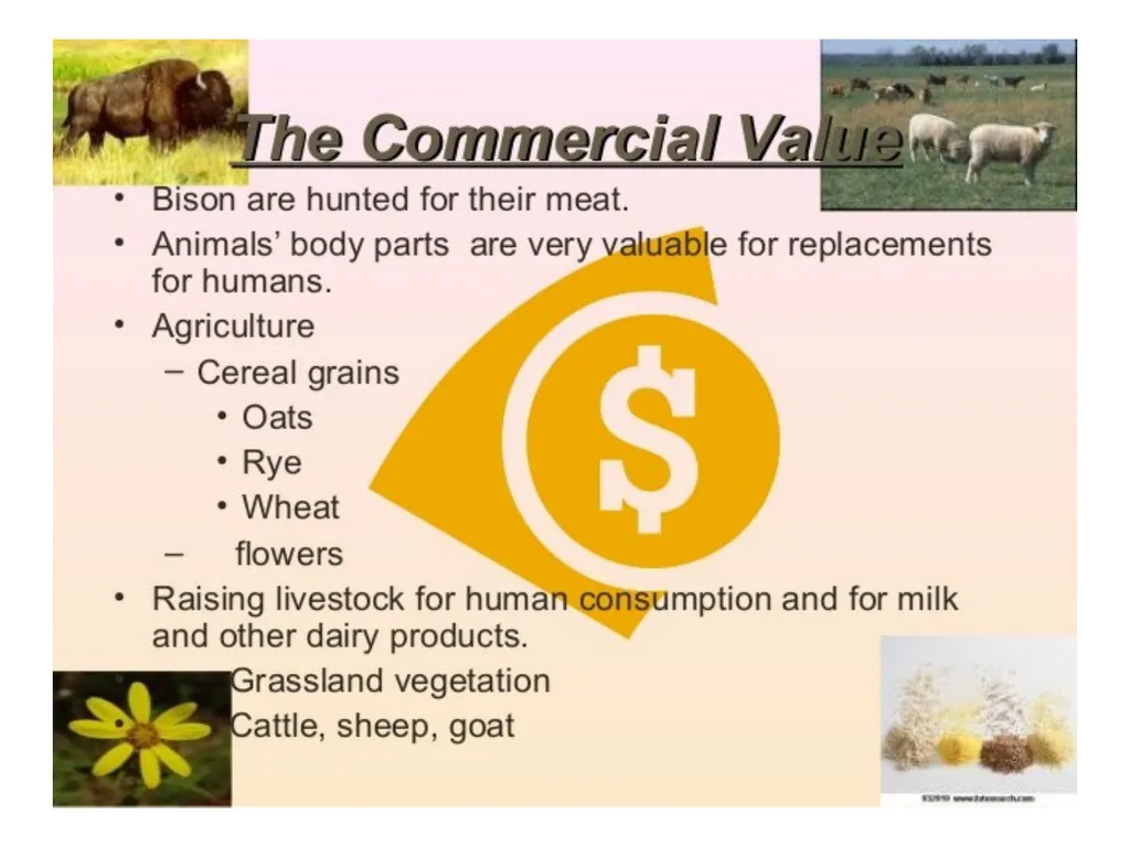 Ppt for Geography Hons,part - slide 8 of 11