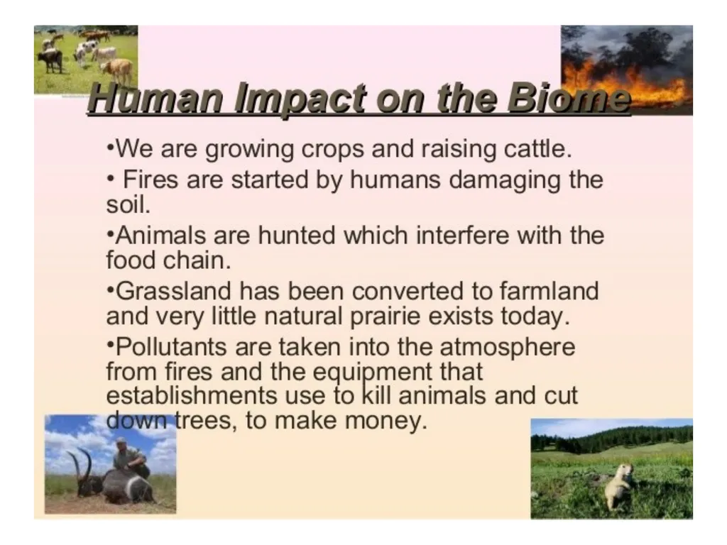 Ppt for Geography Hons,part - slide 9 of 11