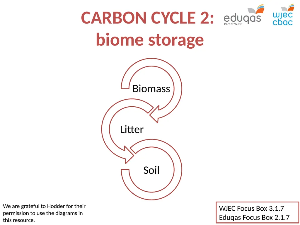 CARBON CYCLE 2: biome storage WJEC Focus Box 3.1.7 - slide 1 of 13